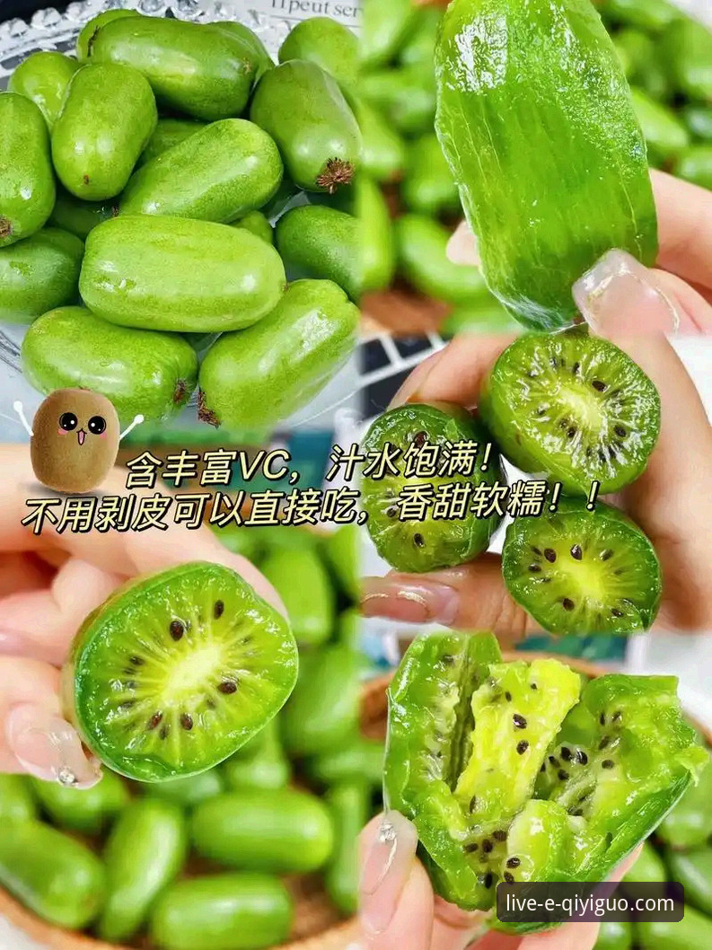 奇异果体育安装包下载实用指南：从获取到流畅观看的完整方案