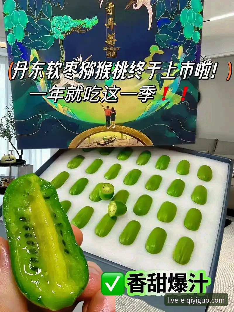 奇异果体育平台2026版深度评测：网页入口与直播体验的全面解析